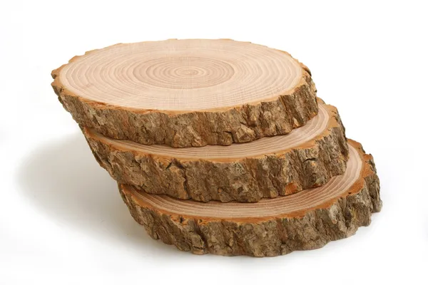 Поперечные сечения ствола дерева — стоковое фото