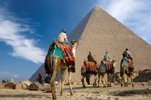 Бедуинов на верблюде возле пирамиды Египта — стоковое фото