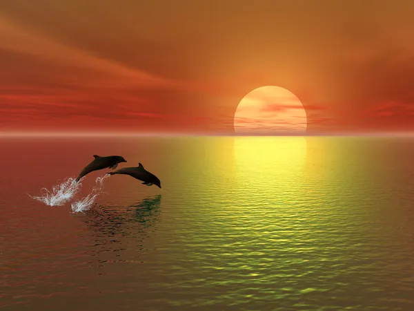 Закат и дельфины — стоковое фото