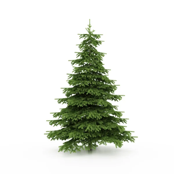 Рождественская елка, готовая украсить — стоковое фото