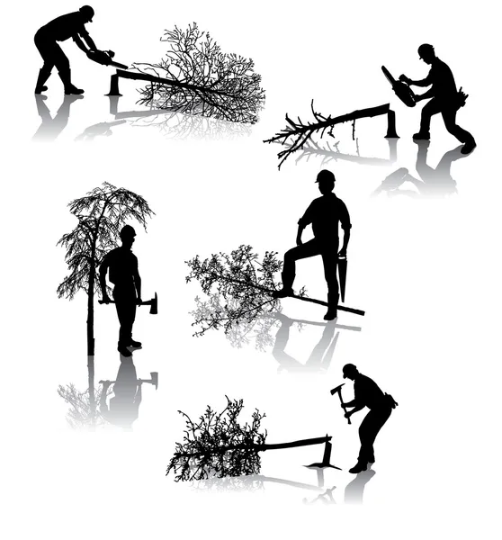 Работники лесного хозяйства — стоковый вектор