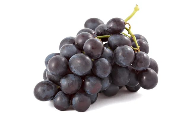 Связка черного винограда изолирована — стоковое фото