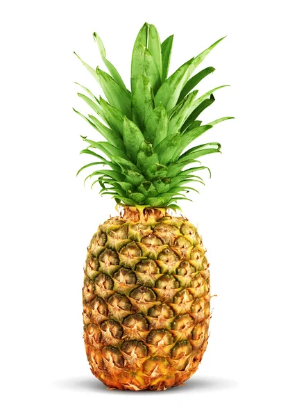 Зрелый ананас Стоковое Фото