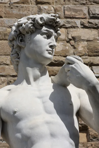 Давид Микеланджело во Флоренции, Италия Лицензионные Стоковые Фото