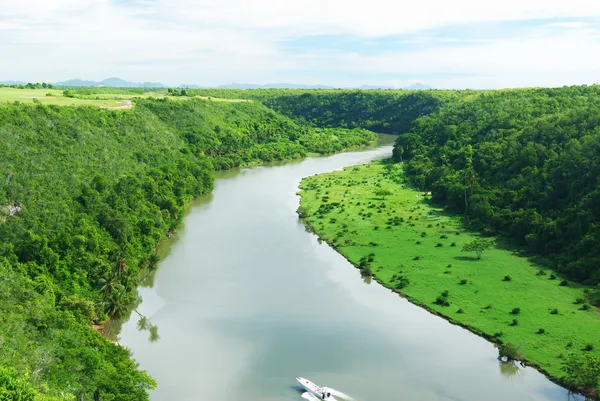 Тропическая река Лицензионные Стоковые Фото