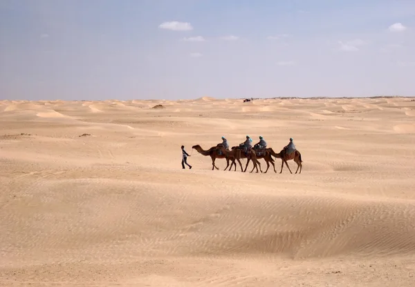Караван верблюдов в пустыне Сахара Лицензионные Стоковые Изображения