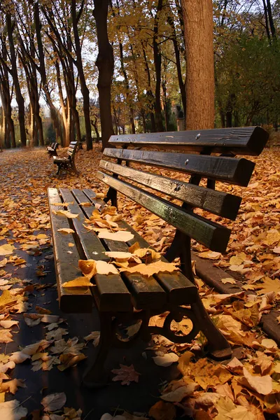 Зеленый скамейке в парке в осень — стоковое фото