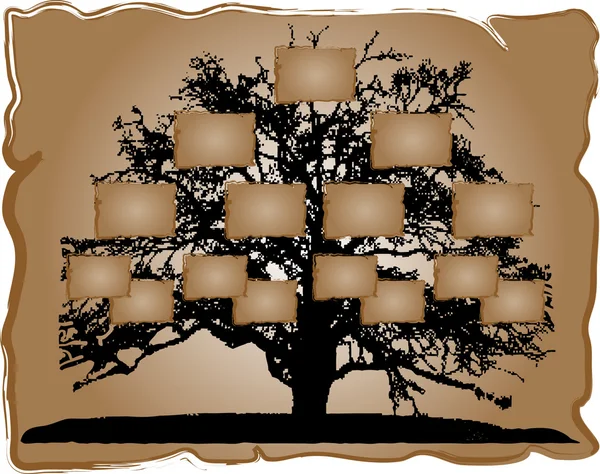 Генеалогическое дерево — стоковый вектор