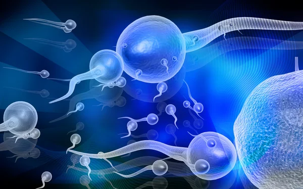Сперматозоидов — стоковое фото