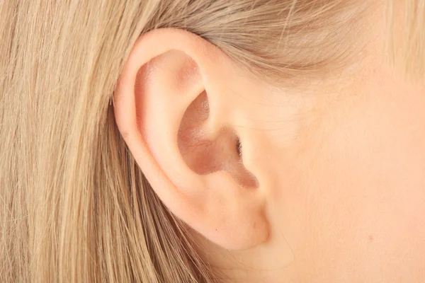 Крупным планом фото блондинка уха — стоковое фото