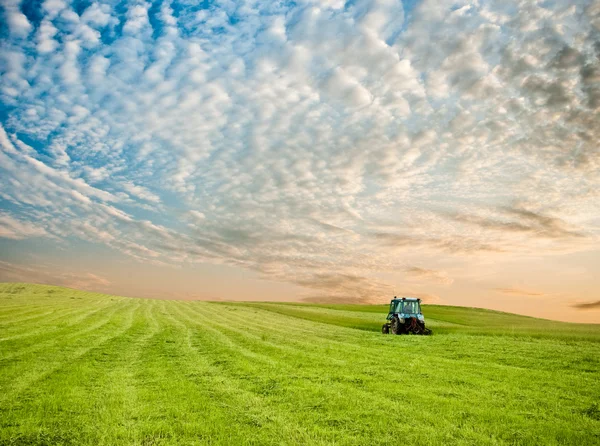 Трактор в поле — стоковое фото