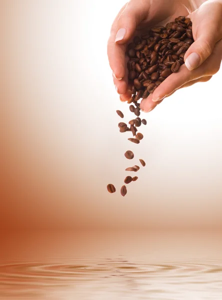 Руки с кофе в зернах — стоковое фото