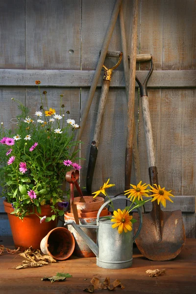 Садовый сарай с инструментами и горшками — стоковое фото
