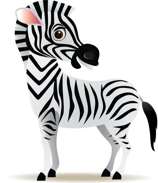 Мультфильм зебры — стоковое фото
