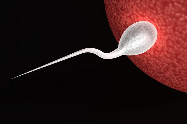 Человеческая сперма — стоковое фото