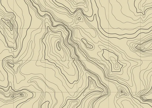 Абстрактный Топографическая карта Стоковый Вектор