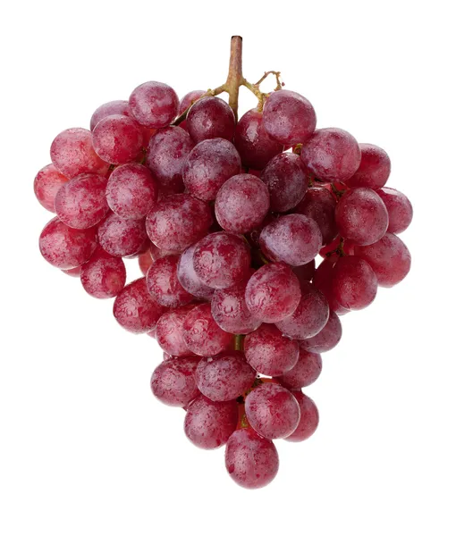 Филиал свежий красный виноград — стоковое фото