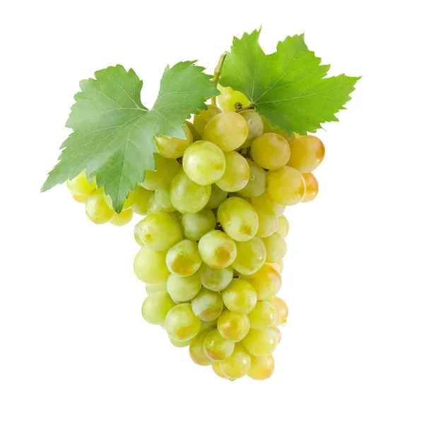Букет из белых сортов винограда с зелеными листьями — стоковое фото