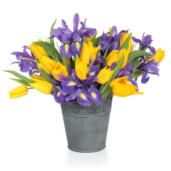 Ирис и цветы тюльпана — стоковое фото