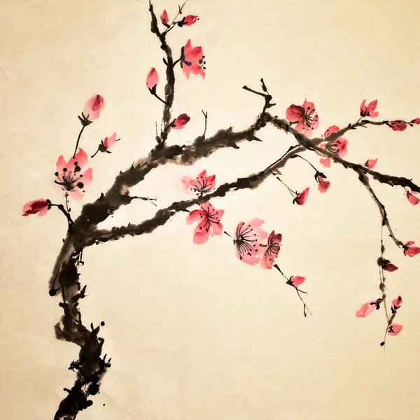 Китайский цветок — стоковое фото