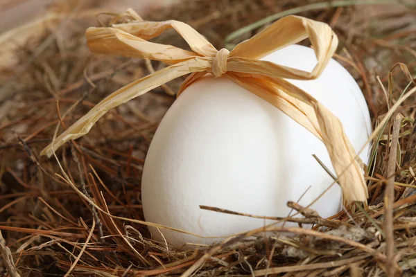 Белое яйцо с бантом на соломе — стоковое фото