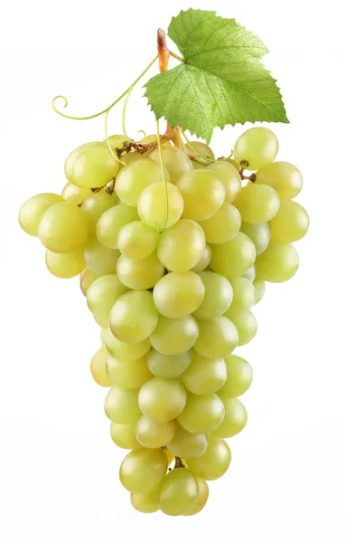 Связка зрелого винограда на белом фоне Лицензионные Стоковые Фото