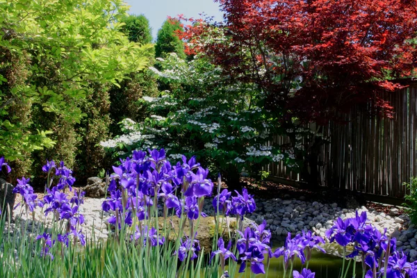 Красочные углу японского сада — стоковое фото