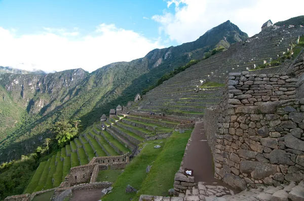 Зеленые террасы на Мачу-Пикчу — стоковое фото