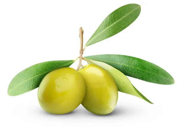Зеленые маслины — стоковое фото