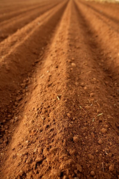 Поля сельского хозяйства почвы распаханные красная глина — стоковое фото