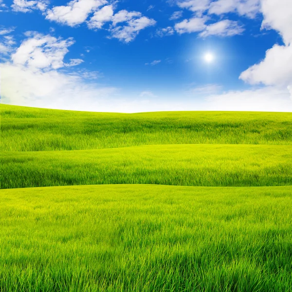 Ницца небо над травой холма — стоковое фото