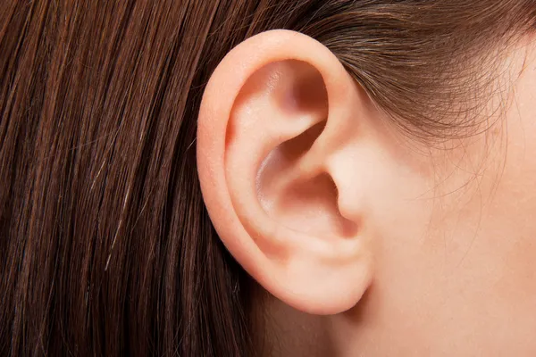 Человеческое ухо — стоковое фото