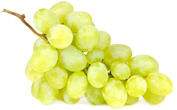 Кластер белых сортов винограда — стоковое фото