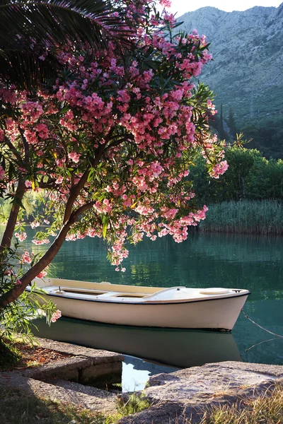 Лодка на реке Стоковое Изображение