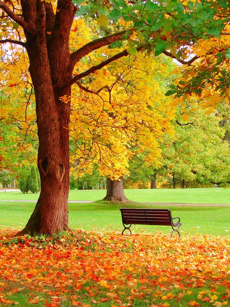 Осень в хельсинском общественном саду — стоковое фото