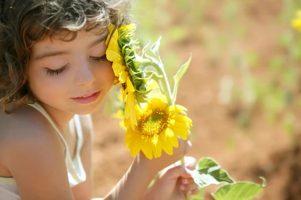 Красивая девочка в поле летом подсолнечника — стоковое фото
