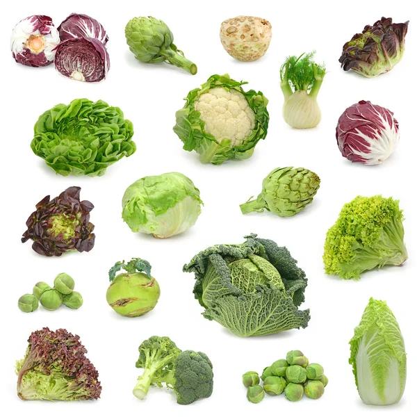 Капуста и зеленых овощей коллекции Лицензионные Стоковые Фото