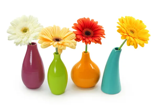 Цветы в вазах — стоковое фото