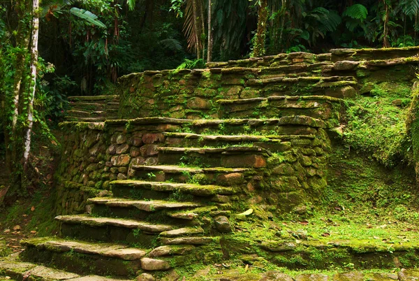 Каменные лестницы, ведущей на террасу в Сьюдад-Пердида, Колумбия — стоковое фото