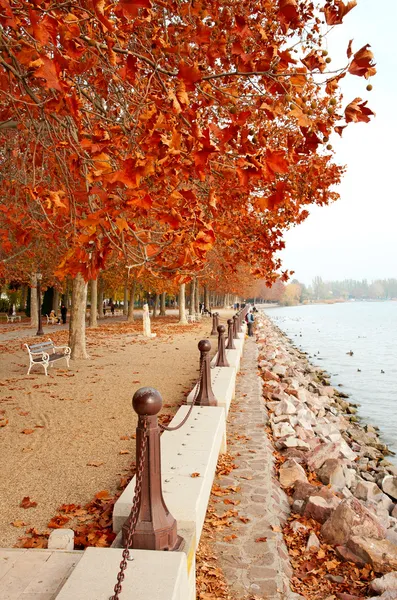 Красивая прогулка в озере Балатон осенью, Венгрия — стоковое фото