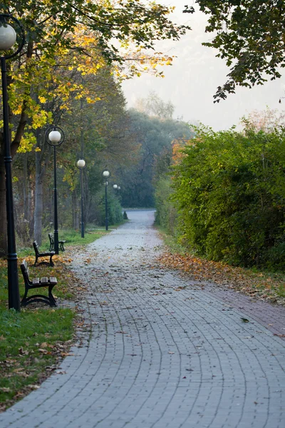 Призыв Осенняя прогулка в парке — стоковое фото