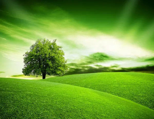 Экологическая зеленая планета — стоковое фото