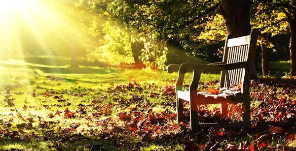 Старые скамейки с осенними листьями и утренний Солнечный свет. — стоковое фото