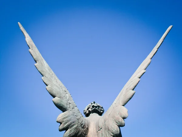 Крылья ангела Стоковая Картинка