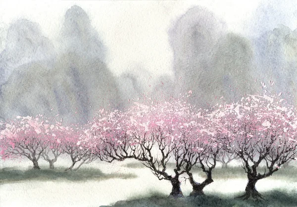 Акварельный пейзаж. тонкие цветущие деревья в весенний день — стоковое фото
