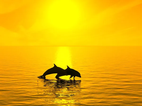 Двух дельфинов, плавает в океане на закат — стоковое фото