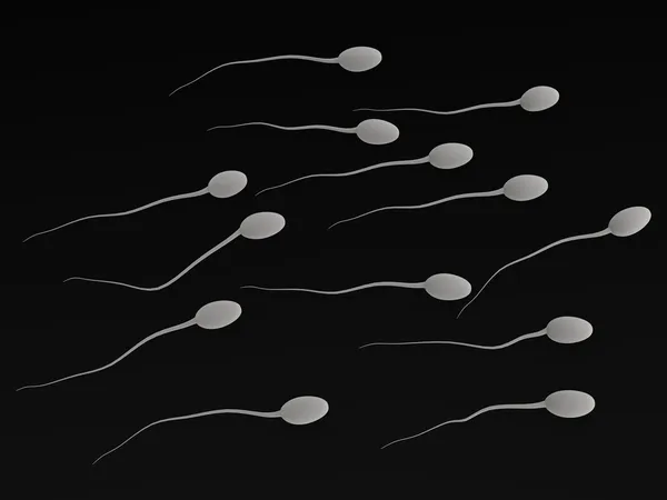 Сперматозоидов — стоковое фото