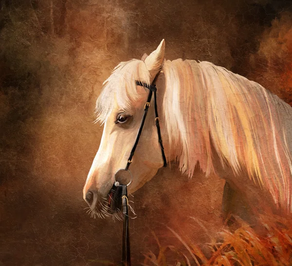 Портрет лошади Стоковое Изображение