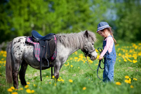 Ребенок и маленькая лошадь в поле — стоковое фото