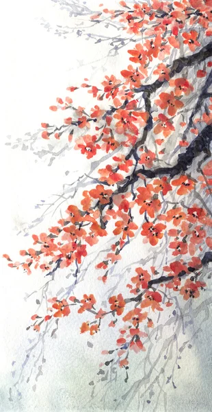 Акварельная живопись. ветви вишни расцветов Стоковое Фото